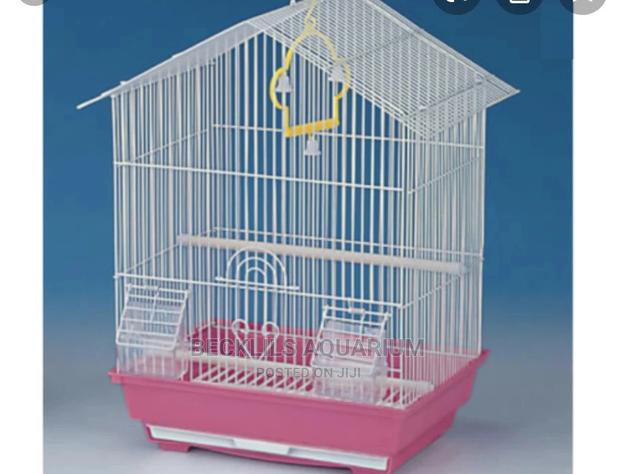 Birds Cages · Photo 3