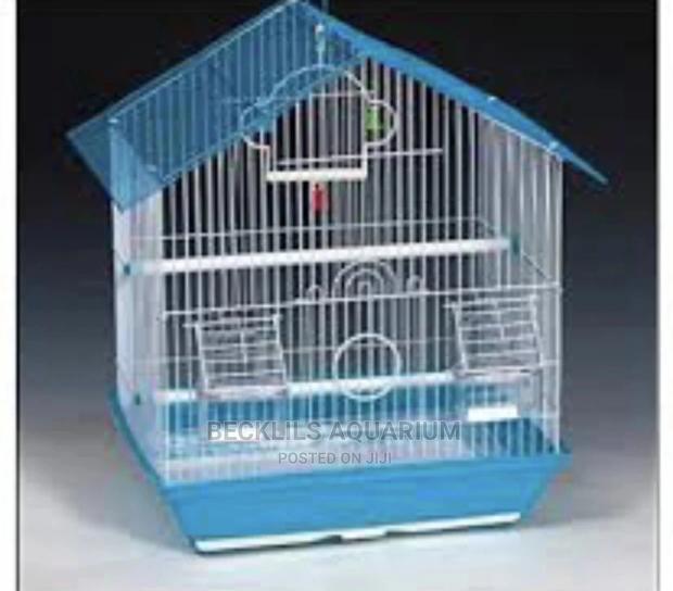 Birds Cages · Photo 1
