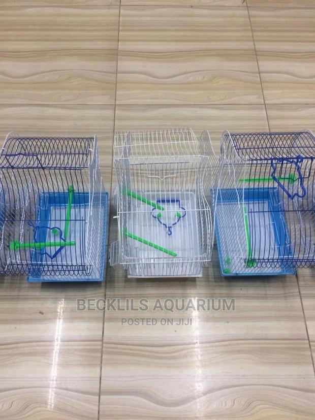 Birds Cages · Photo 5