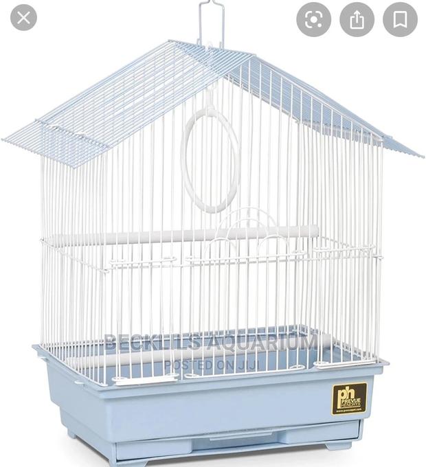 Birds Cages · Photo 4