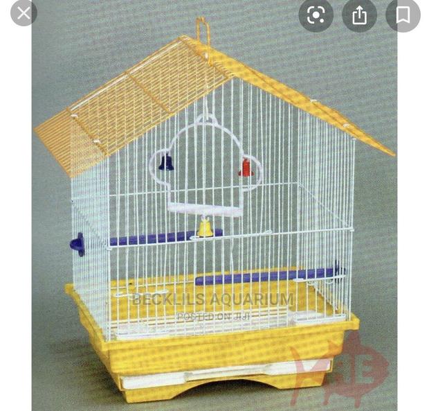 Birds Cages · Photo 2