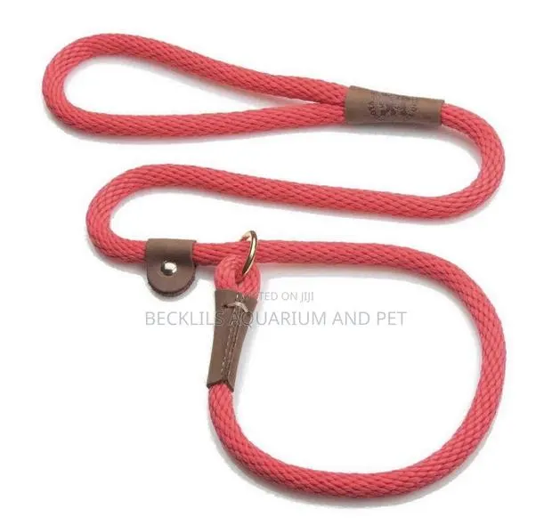 Flip Colors With Leash · Photo 1