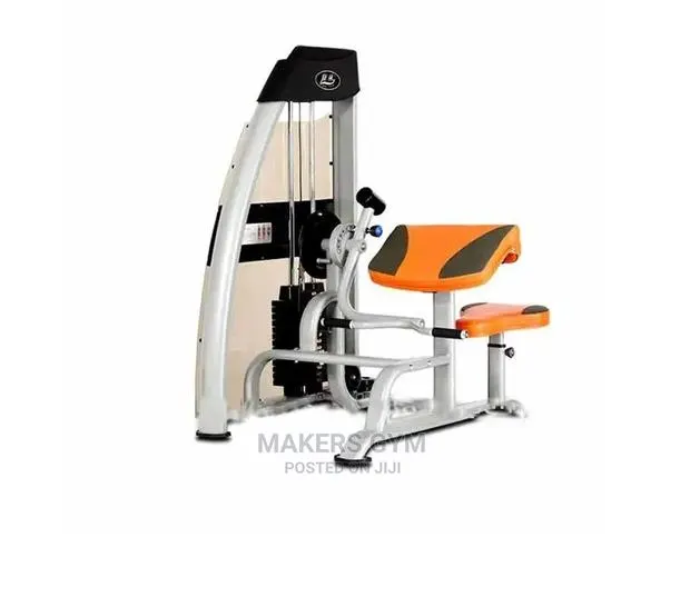 Bicep Curl Machine · Photo 1