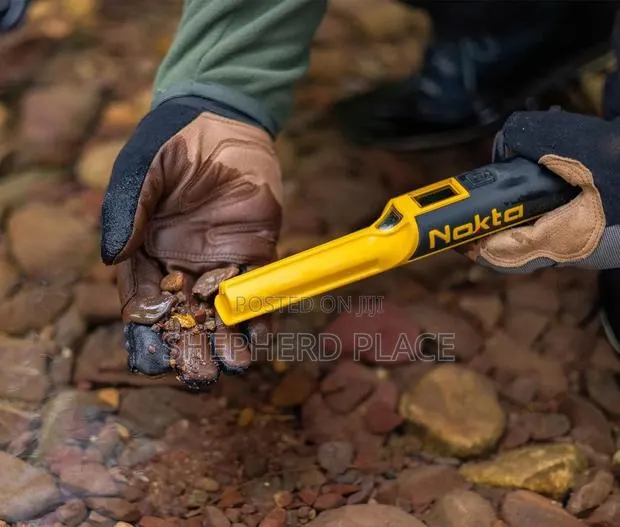 NOKTA AccuPOINT Metal Detector Pinpointer, Professional Waterproof · Photo 1