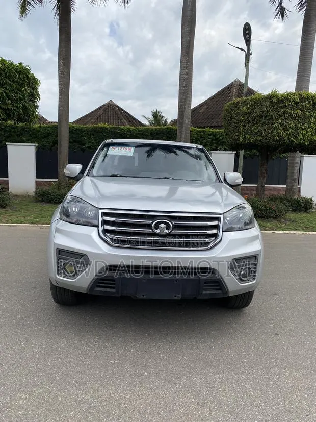 Great Wall Pao 2.0 Diesel RWD 2019 Gray · Photo 1