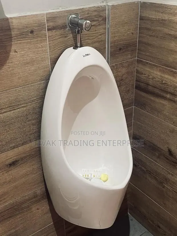 Universe Urinal Bowl · Photo 1