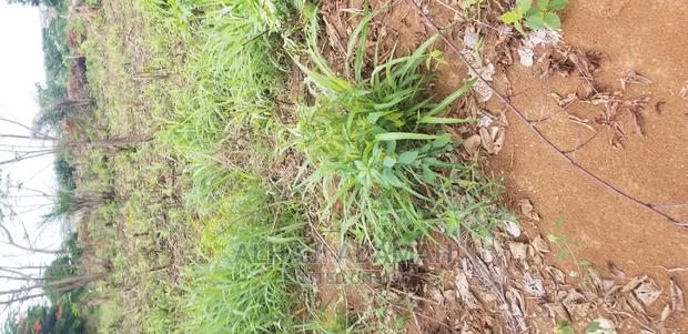 Plot for Sale at Kumasi Santasi Darko · Photo 1