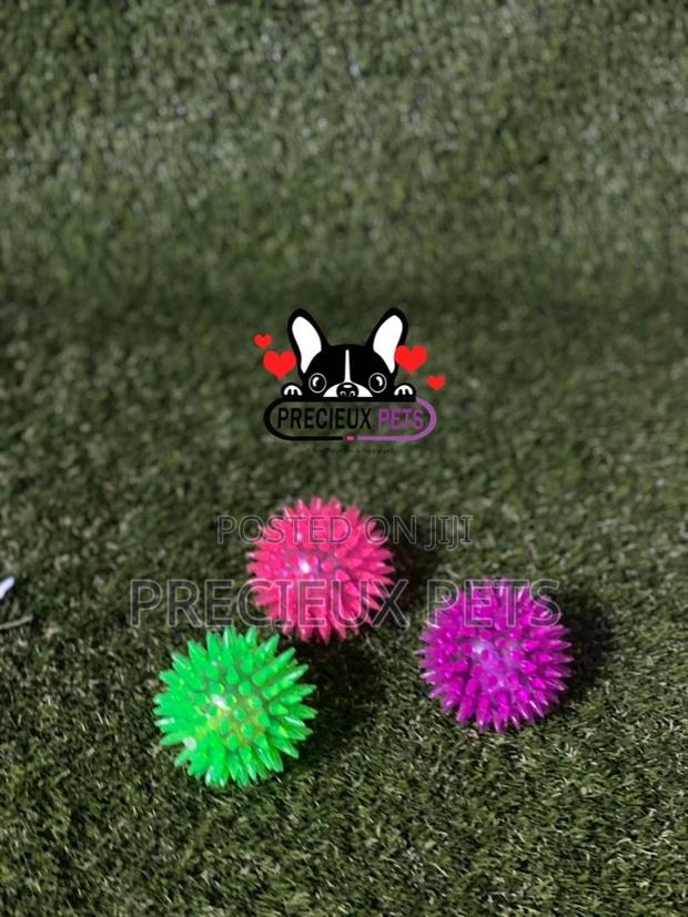 Lightening Ball Like Toys for Dogs · Photo 1