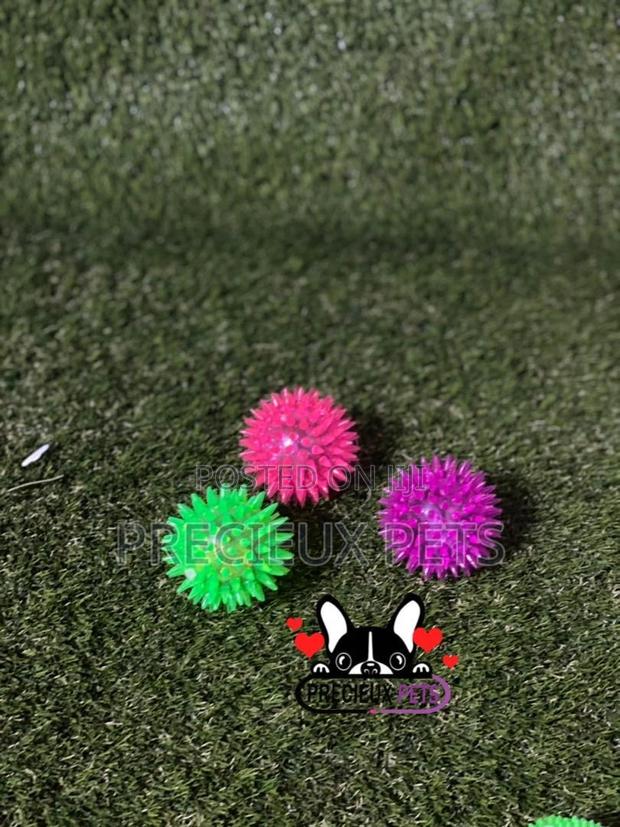 Lightening Ball Like Toys for Dogs · Photo 2