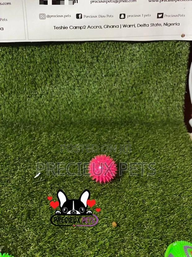 Lightening Ball Like Toys for Dogs · Photo 3