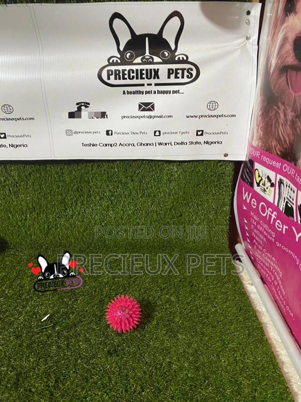 Lightening Ball Like Toys for Dogs · Photo 4