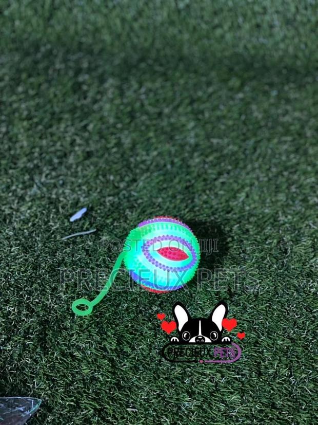 Led Display Toys for Dogs · Photo 1