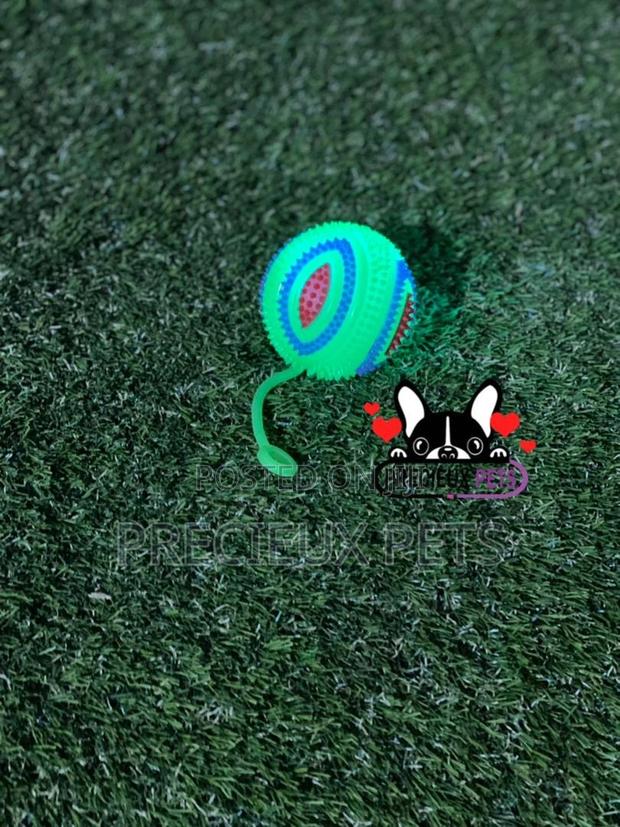 Led Display Toys for Dogs · Photo 2