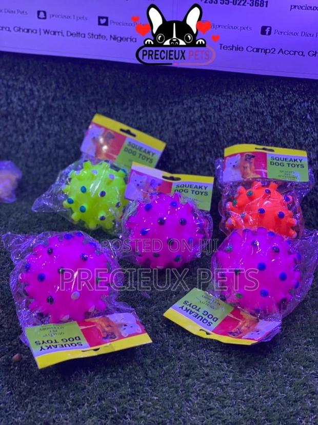 Medium Size Balls for Toy Dogs · Photo 6