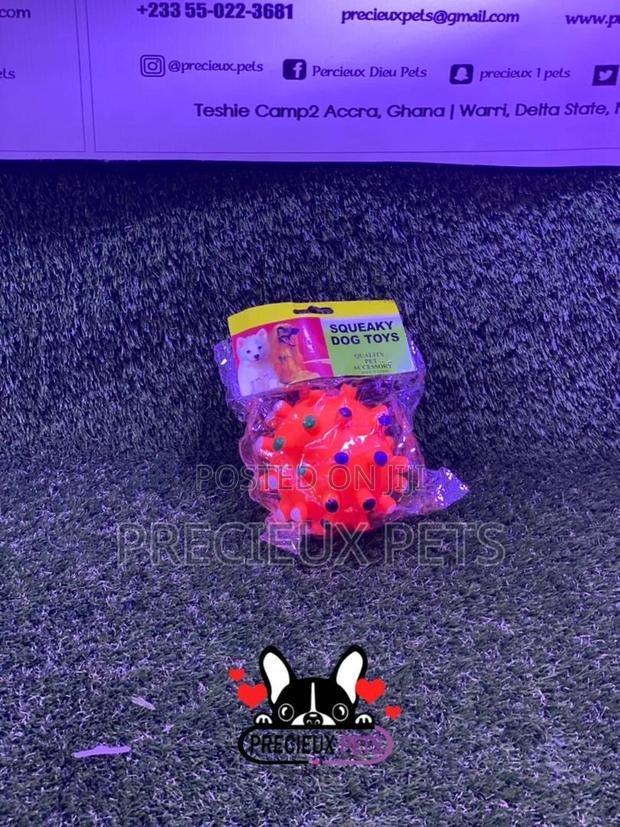 Medium Size Balls for Toy Dogs · Photo 2