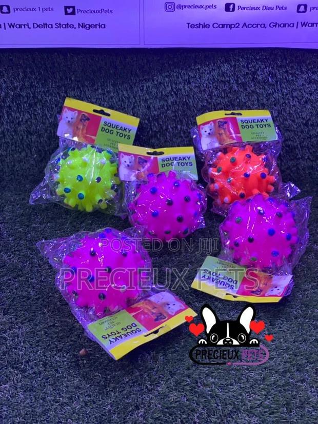 Medium Size Balls for Toy Dogs · Photo 1