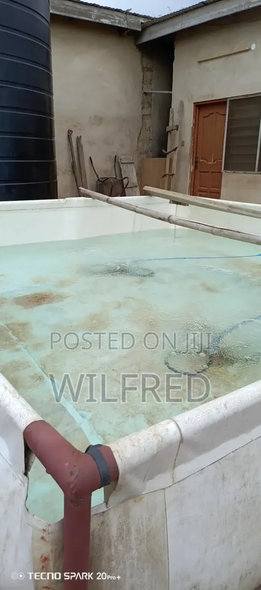 Grow Your Tilapia & Catfish Without Changing Water · Photo 1
