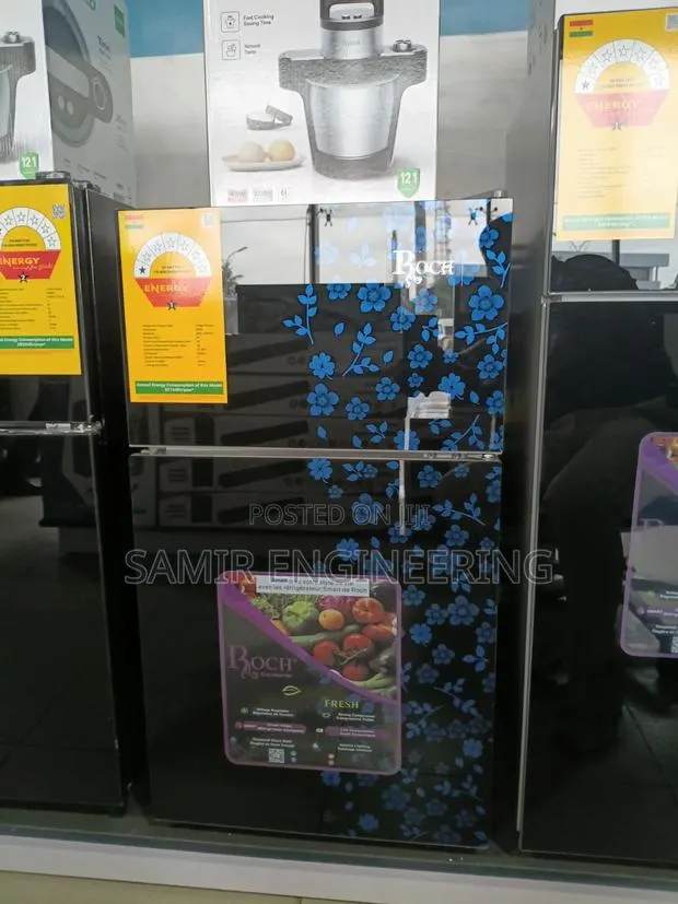 Roch RFR-110DT-J: Premium Double-Door Freshness on a Budget · Photo 1