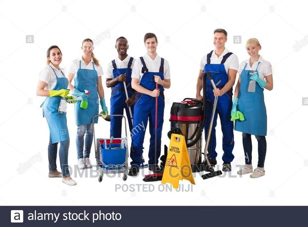 We Do Cleaning/ We Are Cleaners · Photo 1