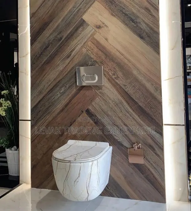 Concealed Designer Toilet Seat _ Wall Hung Toilet Bowl · Photo 1