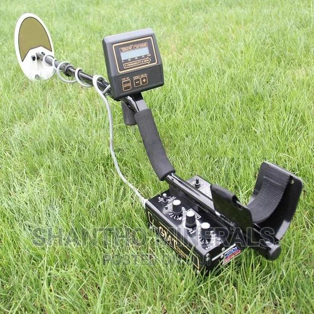 Gold Master Detector · Photo 2