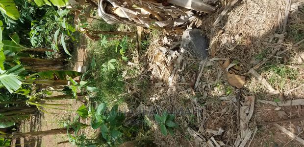 Land for Sale at Santasi Darko · Photo 2