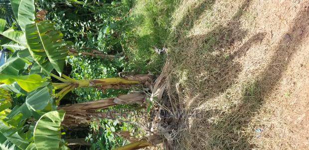 Land for Sale at Santasi Darko · Photo 3