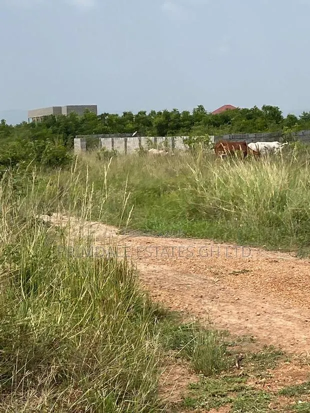 Residential Afienya Litigation-Free Lands on Sale · Photo 1