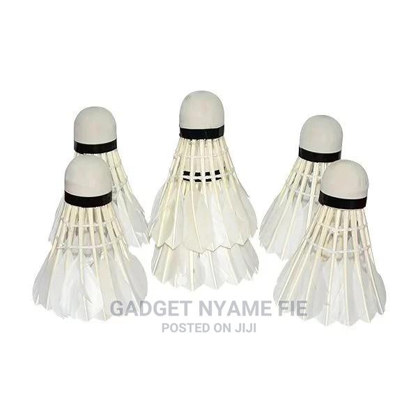 6pcs Shuttlecock in Small Plastic Can
