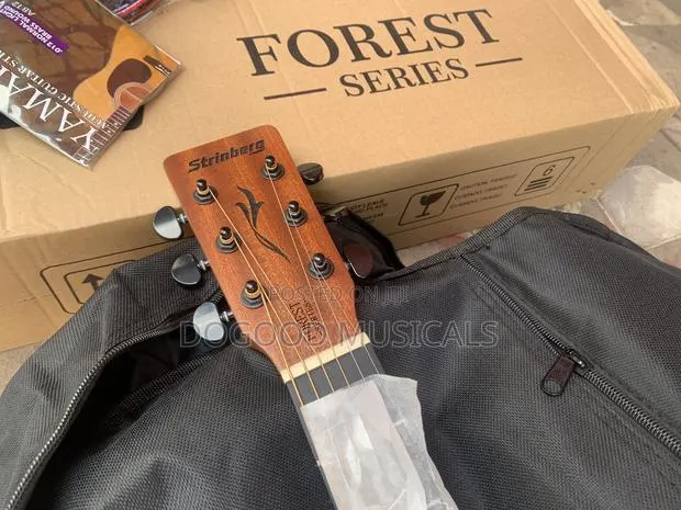 Strinburg Forest Series Simi-Acoustic Guitar · Photo 1