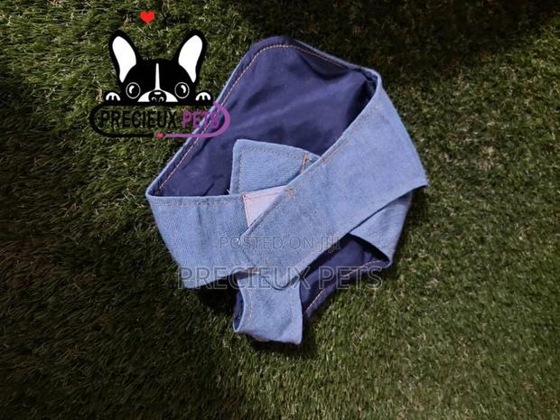 Dogs Harness Serial No. 2021/0003 · Photo 1