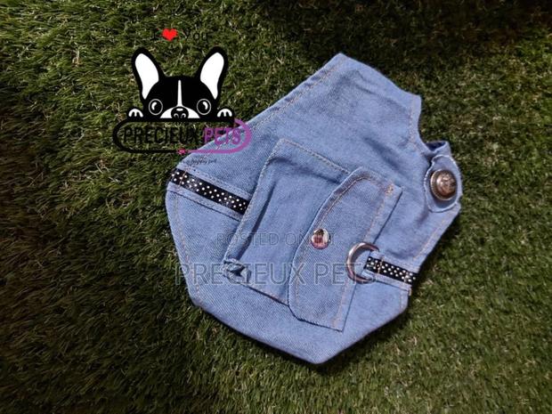 Dogs Harness Serial No. 2021/0003 · Photo 2