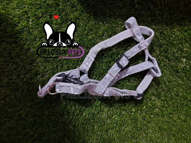 Dogs Harness Serial No. 2021/0004 · Photo 1