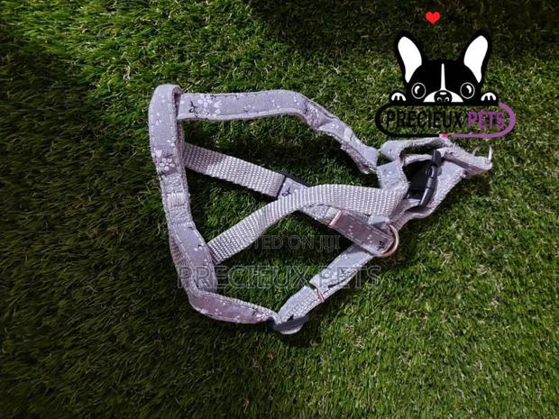 Dogs Harness Serial No. 2021/0004 · Photo 2