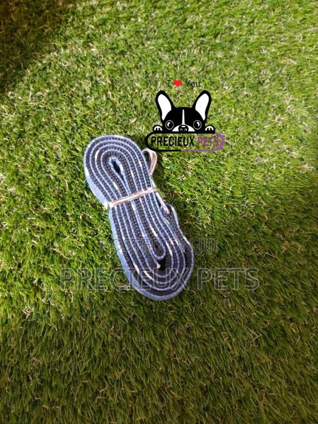Dogs Harness Serial No. 2021/0005 · Photo 1