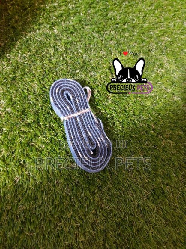 Dogs Harness Serial No. 2021/0005 · Photo 2