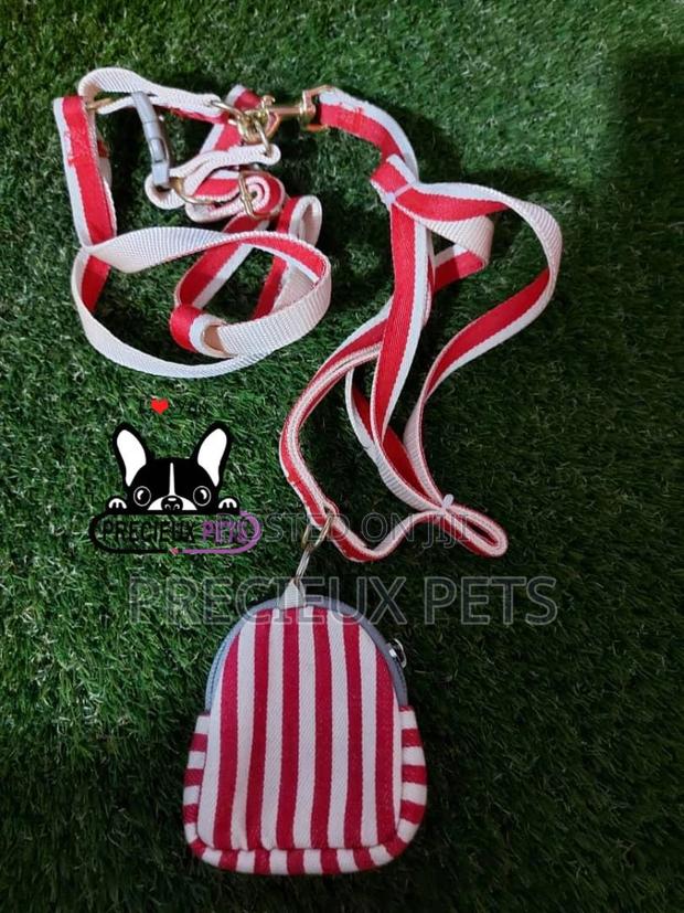 Dogs Harness Serial No. 2021/0006 · Photo 1