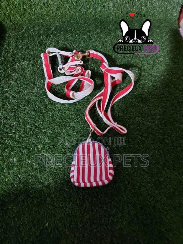 Dogs Harness Serial No. 2021/0006 · Photo 2