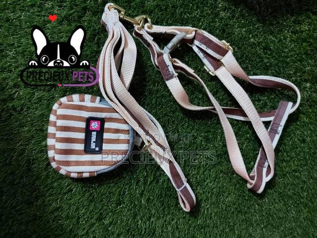 Dogs Harness Serial No. 2021/0007 · Photo 1