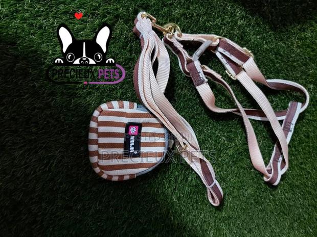 Dogs Harness Serial No. 2021/0007 · Photo 2