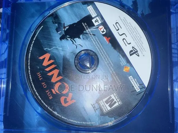 Rise of the Ronin · Photo 1