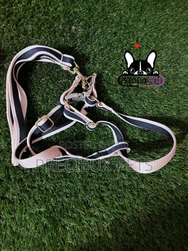 Dogs Harness Serial No. 2021/0009 · Photo 1