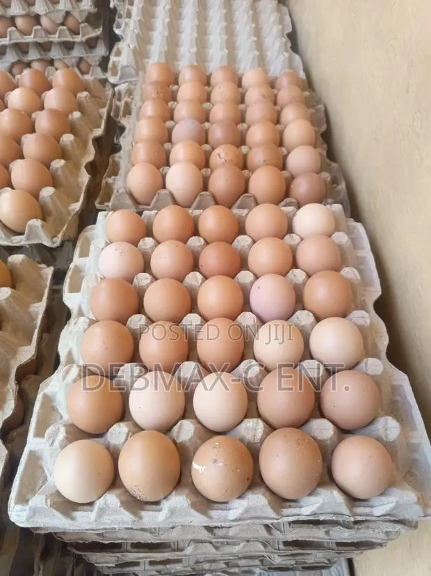 Diamond Eggs · Photo 1