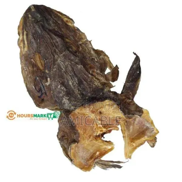 Stockfish Head · Photo 1