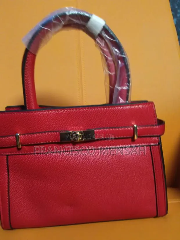 Beautiful Ladies Handbag · Photo 1