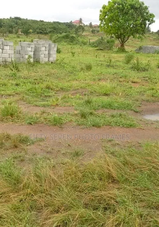 Half Plot of Land · Photo 1