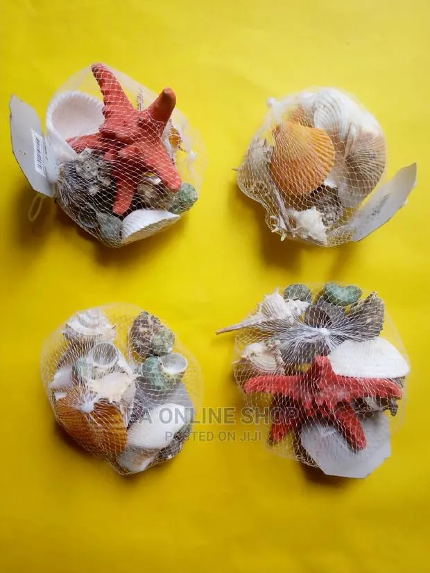 Aquarium Sea Shells · Photo 1