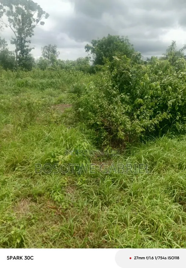 Agriculture and Farm Land · Photo 1
