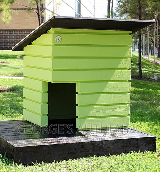 Dog Kernel For Sale · Photo 6