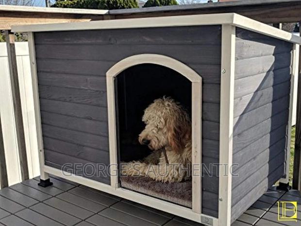 Dog Kernel For Sale · Photo 2